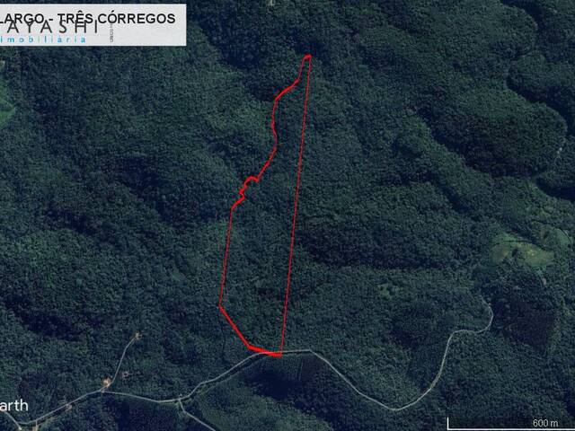 #08244 - Chácara para Venda em Campo Largo - PR - 2