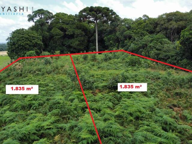 #08211 - Chácara para Venda em Campo Largo - PR