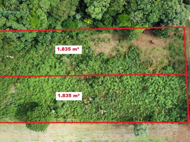 #08211 - Chácara para Venda em Campo Largo - PR