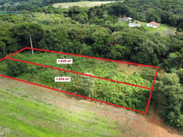 Venda em ÁGUAS CLARAS - Campo Largo