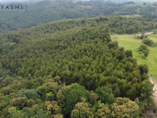 #08253 - Chácara para Venda em Campo Largo - PR