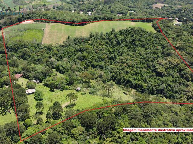 Venda em MEIA LUA - Campo Magro