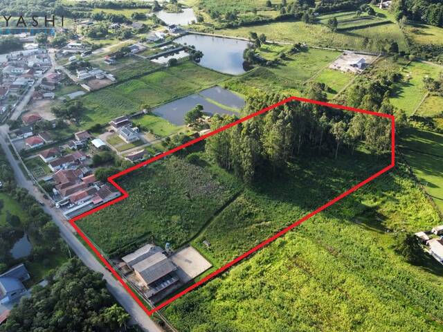 Chácara para Venda em São José dos Pinhais - 5