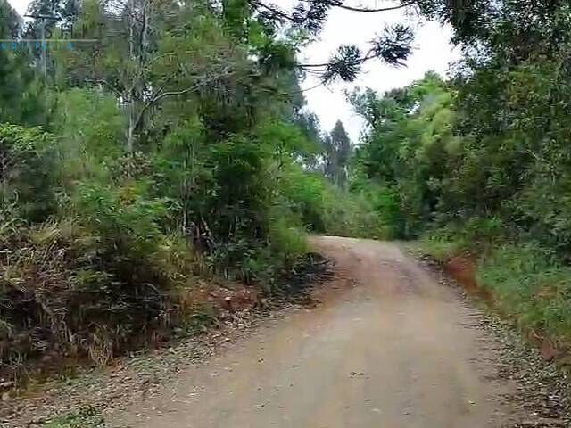 #08255 - Chácara para Venda em Curitiba - PR