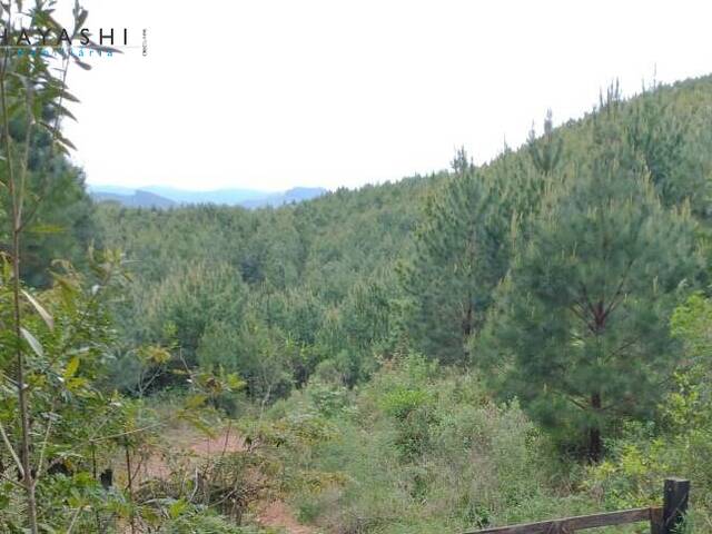 #08255 - Chácara para Venda em Curitiba - PR