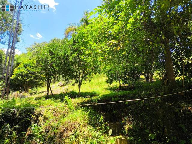 #08251 - Chácara para Venda em Campo Largo - PR