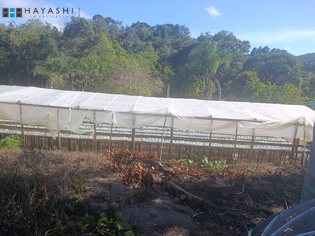 #08195 - Chácara para Venda em Campo Largo - PR - 1