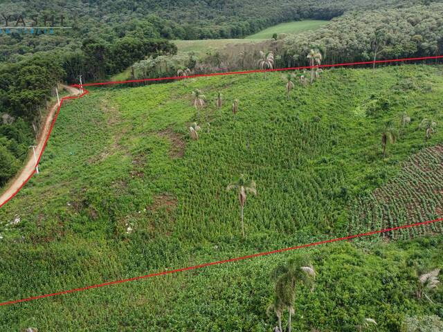 Venda em Área Rural de Almirante Tamandaré - Almirante Tamandaré