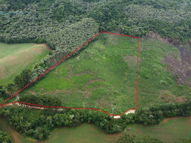 #08111 - Chácara para Venda em Almirante Tamandaré - PR - 3