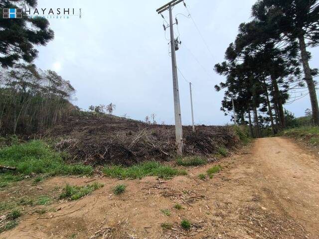 Chácara para Venda em Almirante Tamandaré - 4