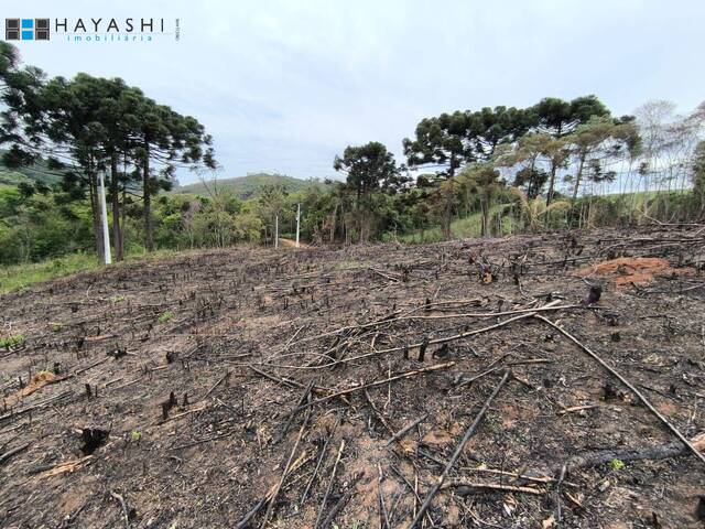 Chácara para Venda em Almirante Tamandaré - 5