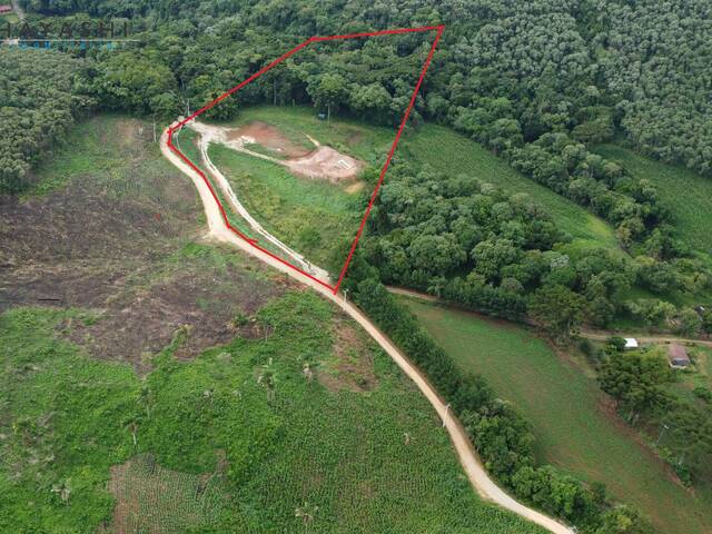 #08111_1 - Chácara para Venda em Almirante Tamandaré - PR