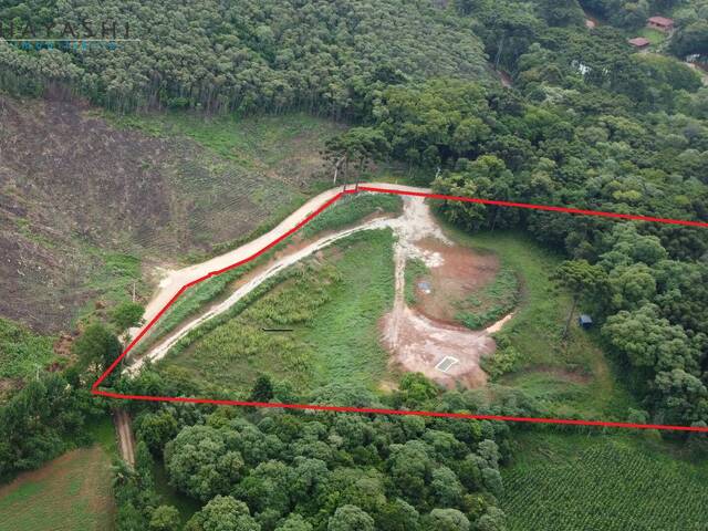 #08111_1 - Chácara para Venda em Almirante Tamandaré - PR