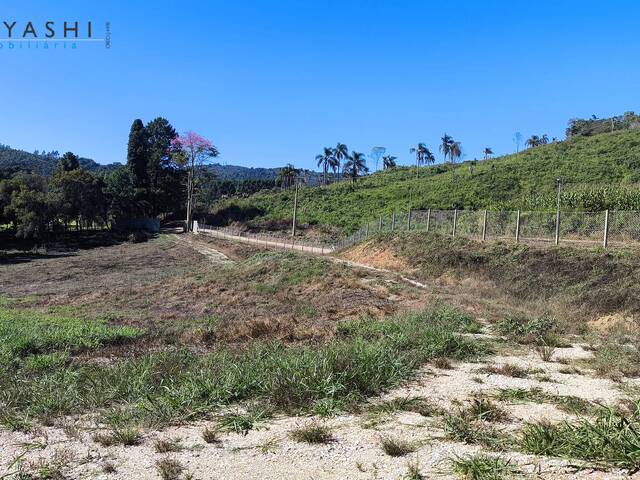 Chácara para Venda em Almirante Tamandaré - 4