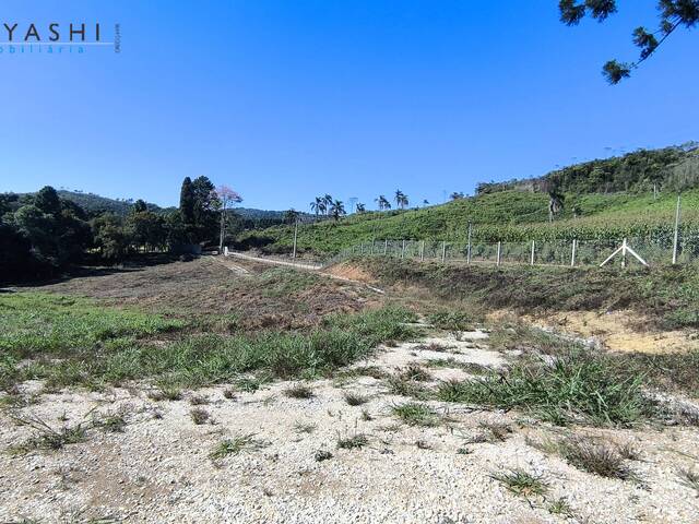 Chácara para Venda em Almirante Tamandaré - 5