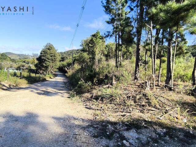 #08261 - Chácara para Venda em Almirante Tamandaré - PR - 3