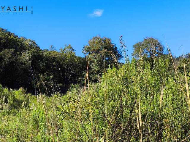 Chácara para Venda em Almirante Tamandaré - 5