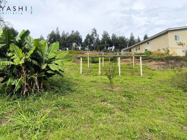 #08264 - Chácara para Venda em Almirante Tamandaré - PR - 3