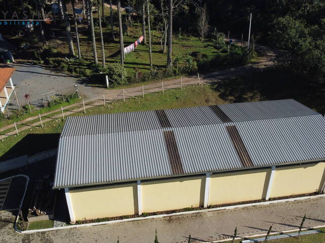  para  em  - 5