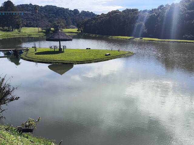 Fazenda para Venda em São José dos Pinhais - 4