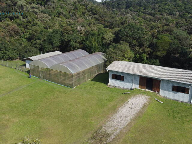 Fazenda para Venda em São José dos Pinhais - 5