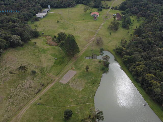 Fazenda para Venda em São José dos Pinhais - 3