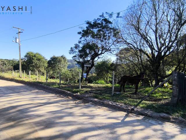 Chácara para Venda em Campo Largo - 3