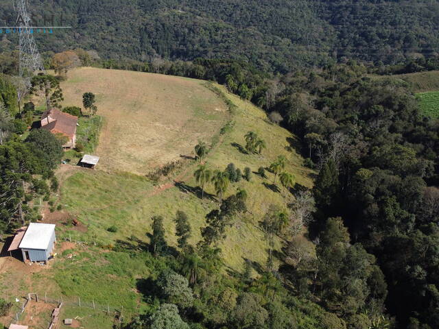 #8286 - Chácara para Venda em Campo Magro - PR - 1