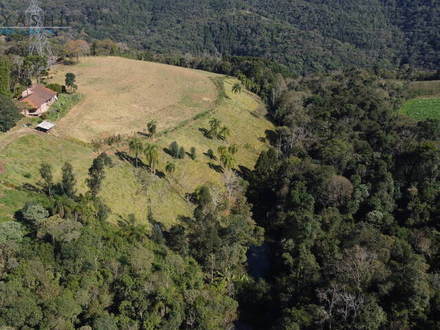 #8286 - Chácara para Venda em Campo Magro - PR - 2