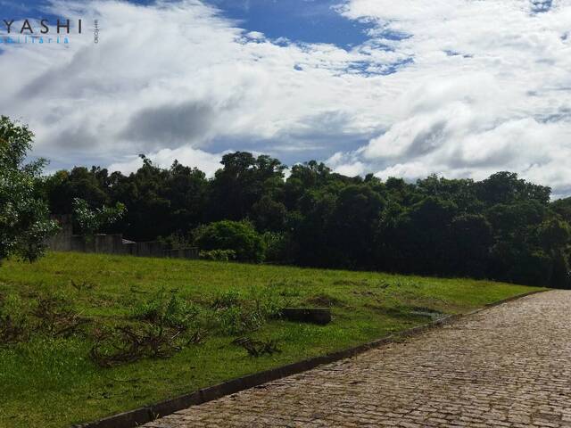 Chácara para Venda em Campo Largo - 4